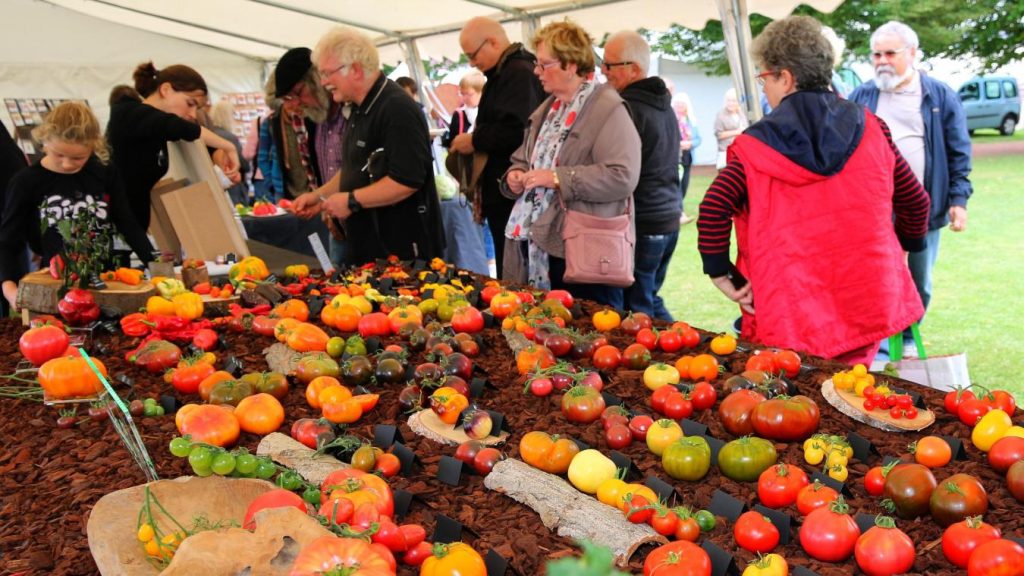 découvrez la fête de la tomate cbd : un événement unique mêlant saveurs, bien-être et animations autour du cbd et des produits à base de tomate. profitez d'une journée conviviale et gourmande !
